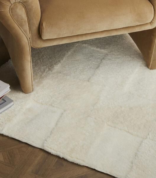 Shag Rugs
