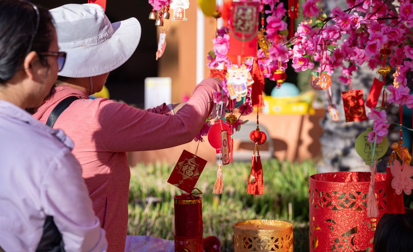 Woman hanging a red and gold paper ornament onto a tree with pink blossoms