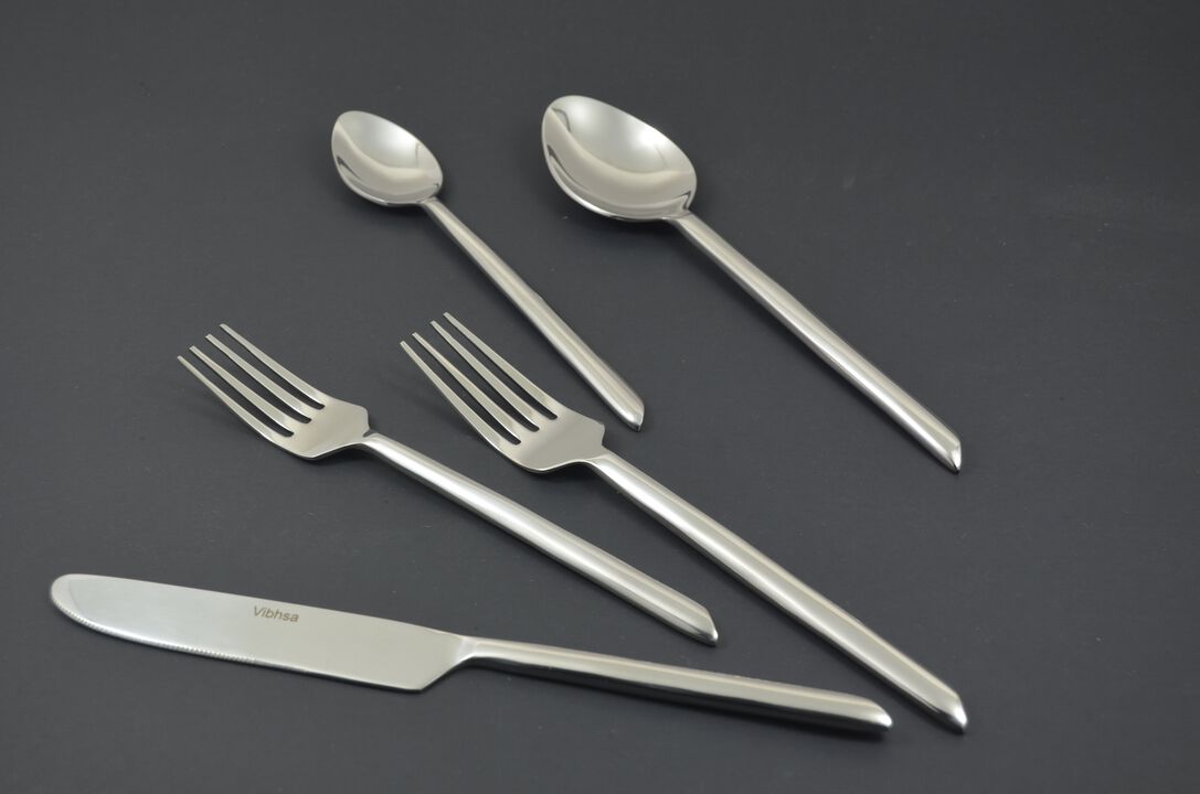 Silver Stainless Steel Flatware Set of 20 PC (Modern, Glossy)