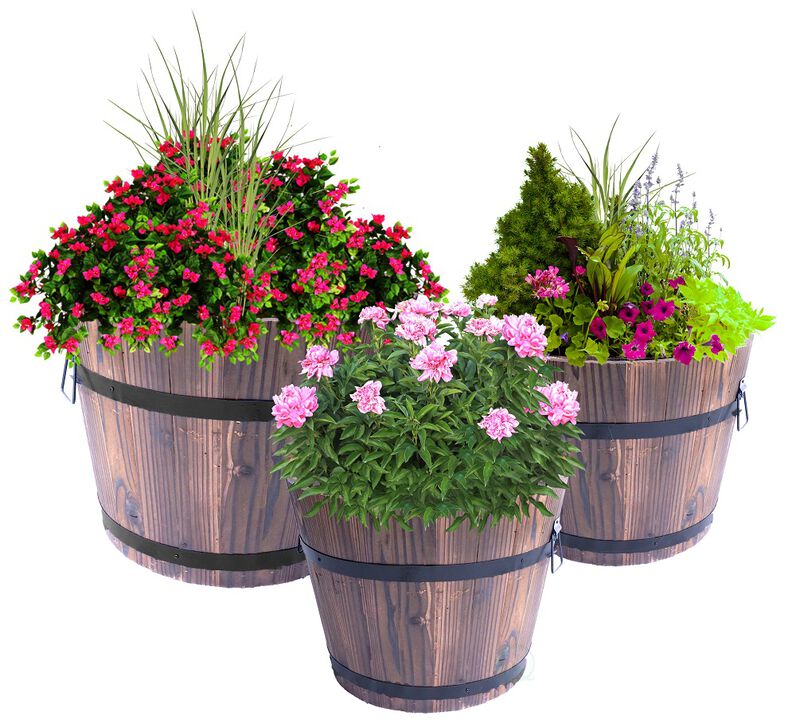 Set of 3 Extra Large Wooden Whiskey Barrel Planters