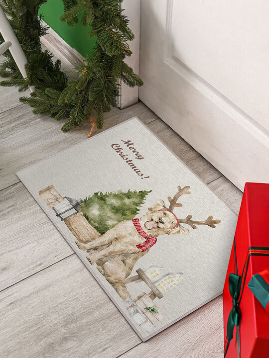 Wonderland WN8 Beige 20" x 30" Rug