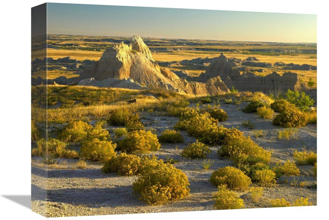 Coyote Bush and eroded features bordering grasslands, Badlands National Park, South Dakota-Canvas Art-16x12