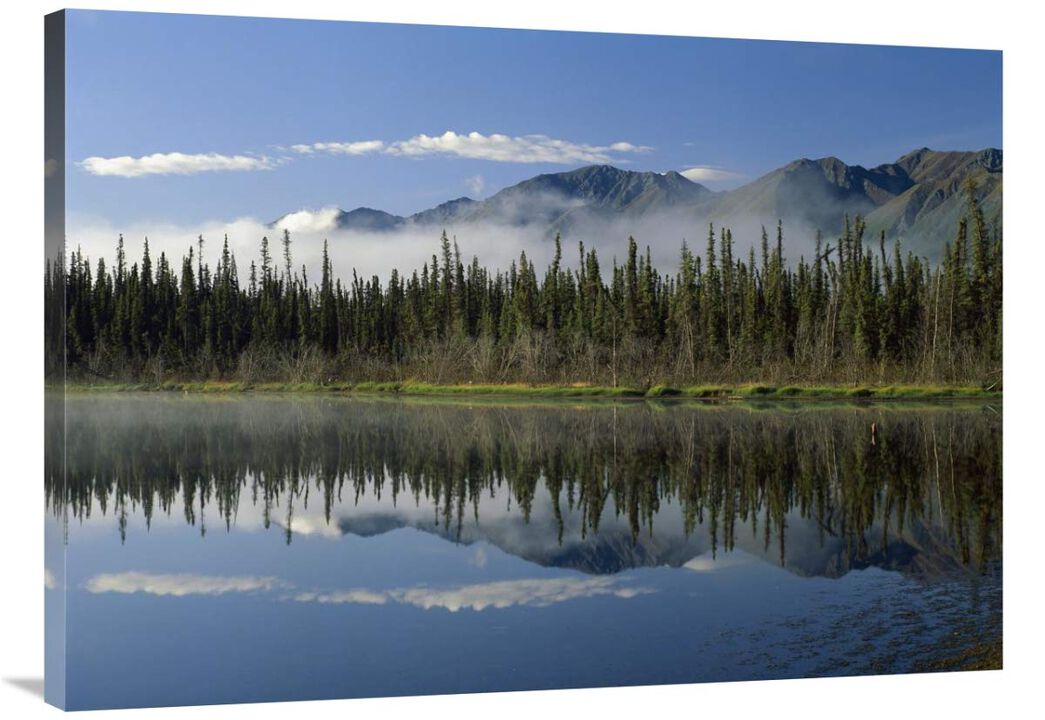 Boreal forest along lake edge, Nutzotin Mountains, Alaska-Canvas Art-40x30
