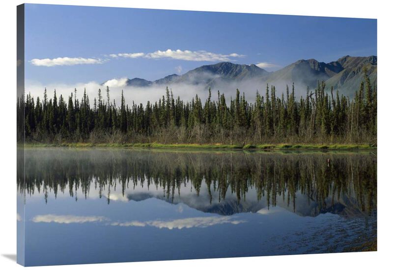 Boreal forest along lake edge, Nutzotin Mountains, Alaska-Canvas Art-40x30