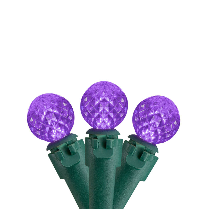 50 Count Purple LED G12 Berry Christmas Lights  15.9 ft Green Wire