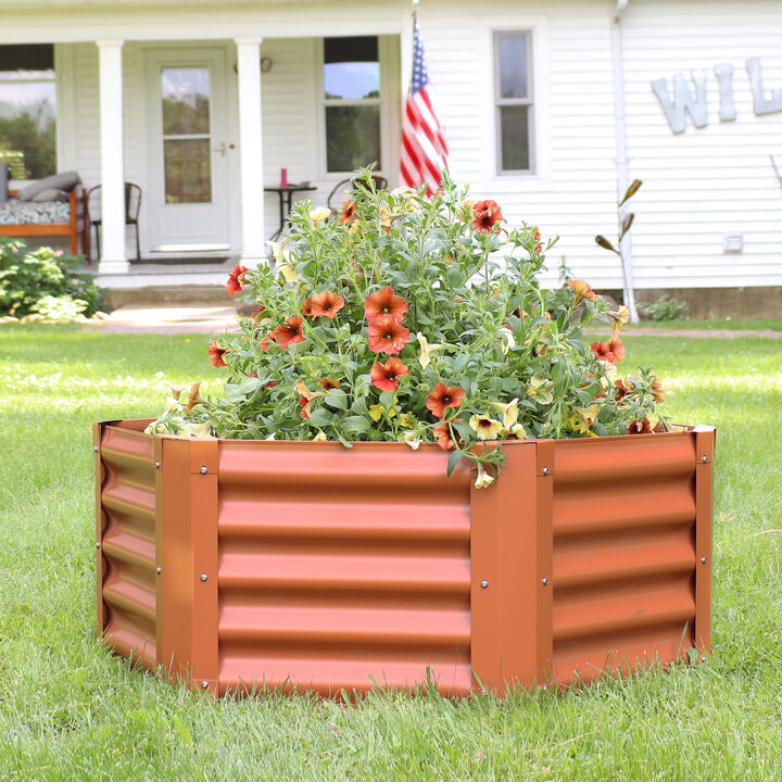 Sunnydaze Powder-Coated Steel Hexagon Raised Garden Bed 41 in