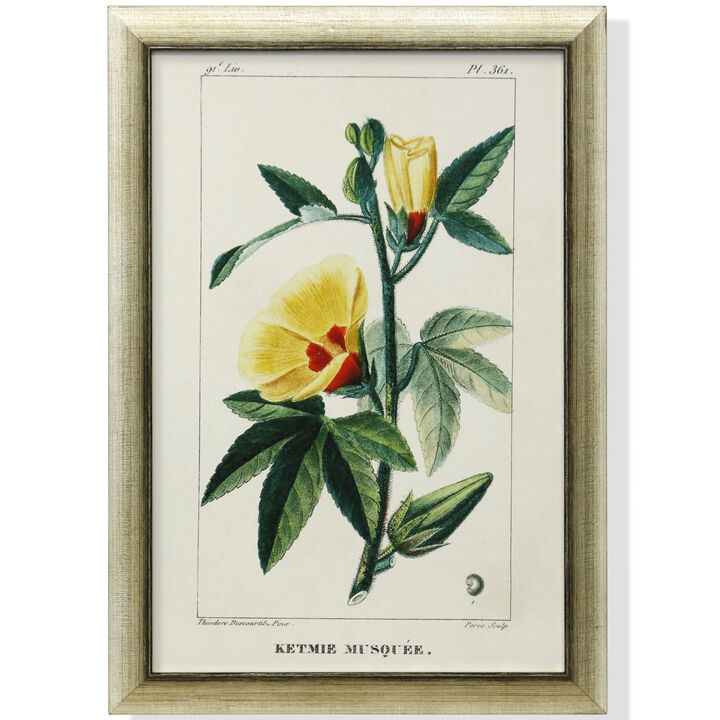 Framed Print Under Glass