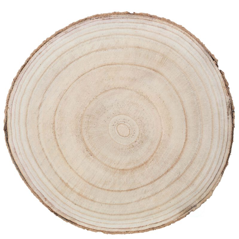 Barky Natural Wood Slabs Rustic Ornament Slice Tray Table Charger 14" set of 4