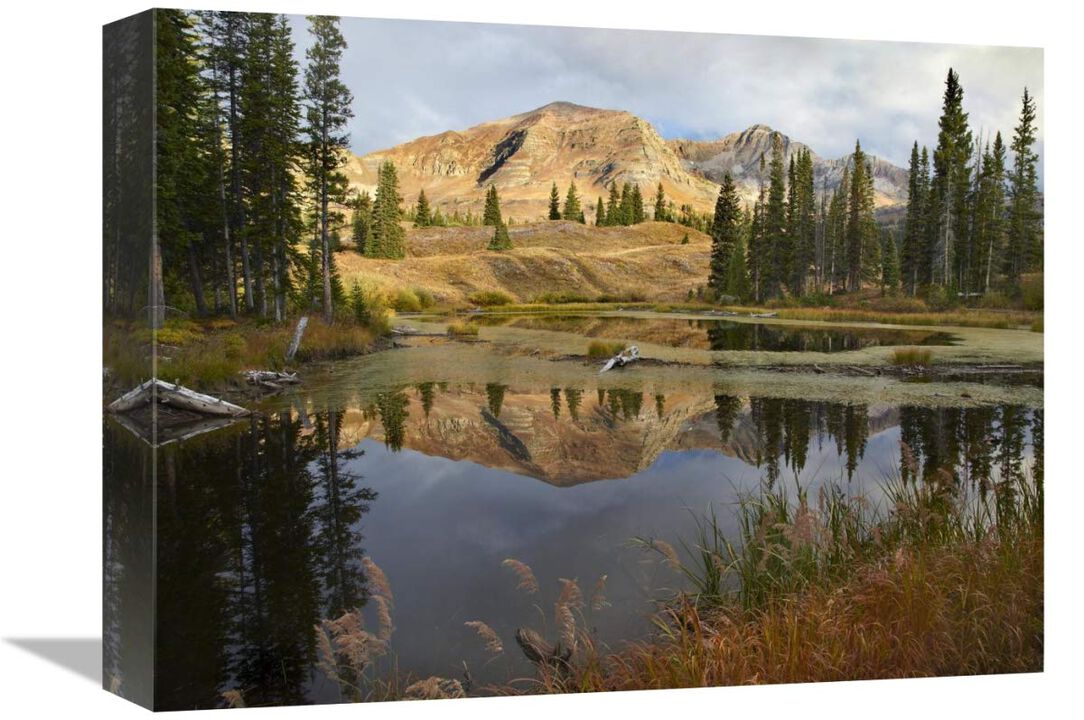 Ruby Range reflected in pond, Raggeds Wilderness, Colorado-Canvas Art-16x12