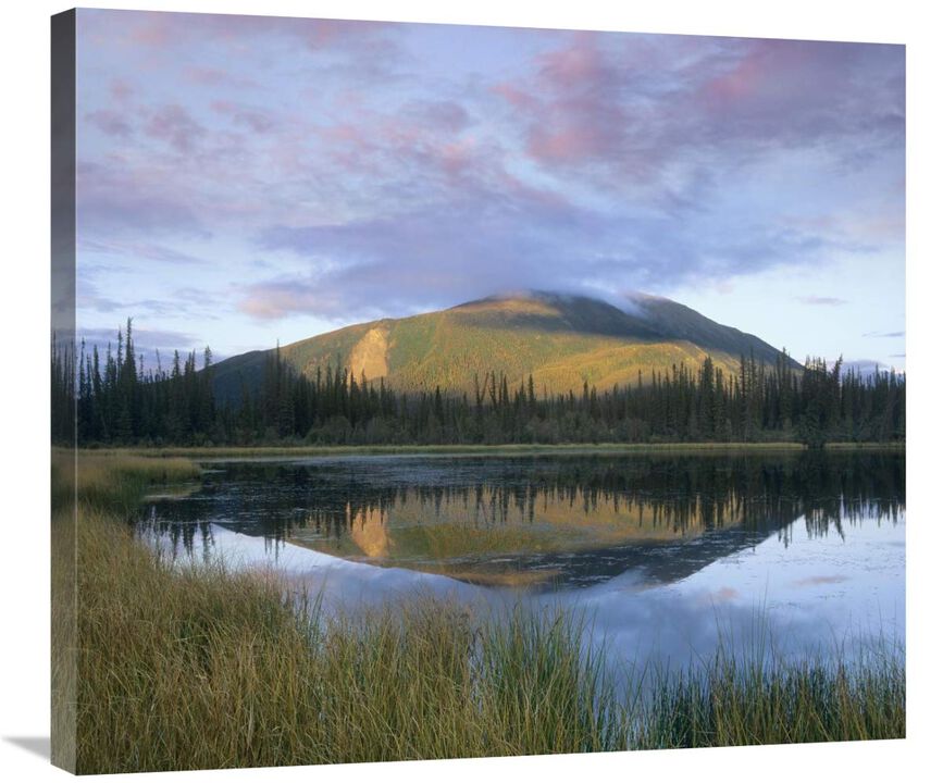 Pond reflecting Nisling Range, Yukon, Canada-Canvas Art-30x26.7