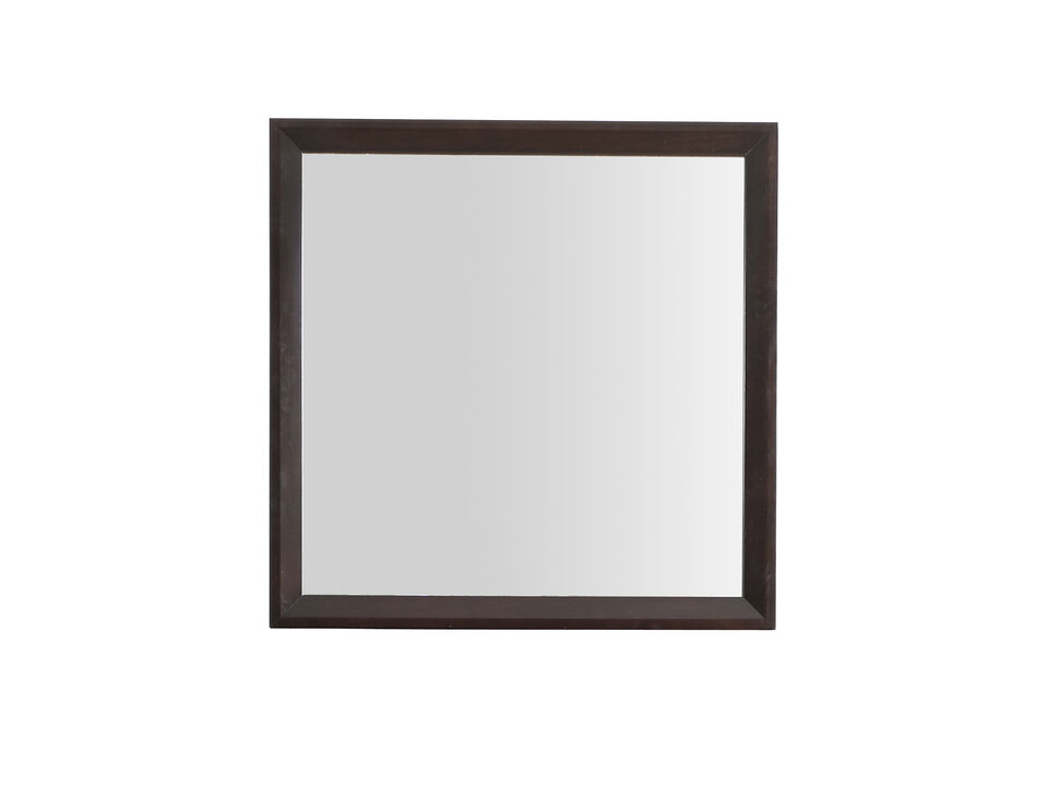 36 in. x 36 in. Classic Square Framed Dresser Mirror