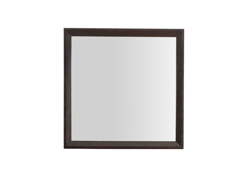 36 in. x 36 in. Classic Square Framed Dresser Mirror