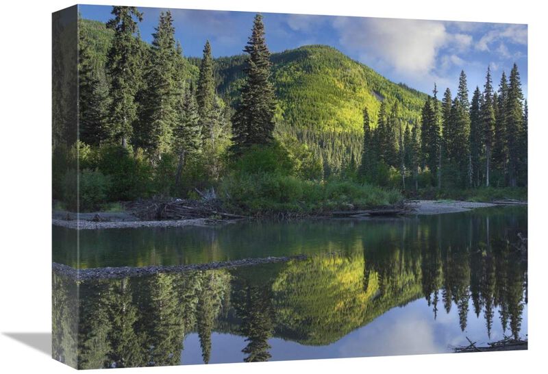 Pine River, Hart Ranges, British Columbia, Canada-Canvas Art-16x12
