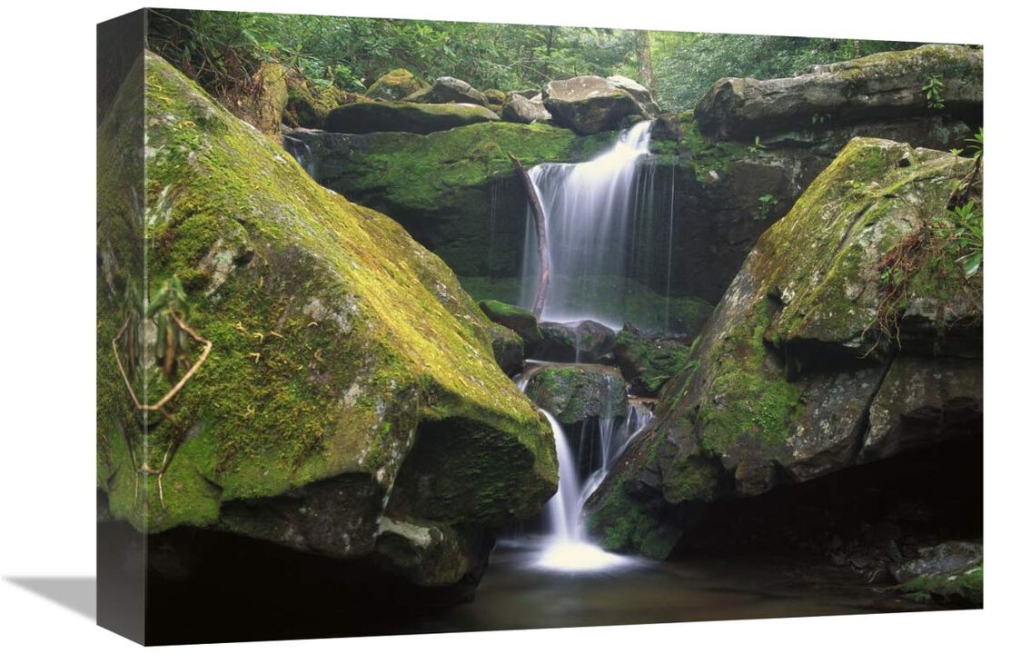 Cascade near Grotto Falls, Great Smoky Mountains National Park, Tennessee-Canvas Art-16x12