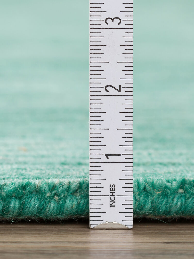 Rafia RF100 Emerald 8' x 10' Rug