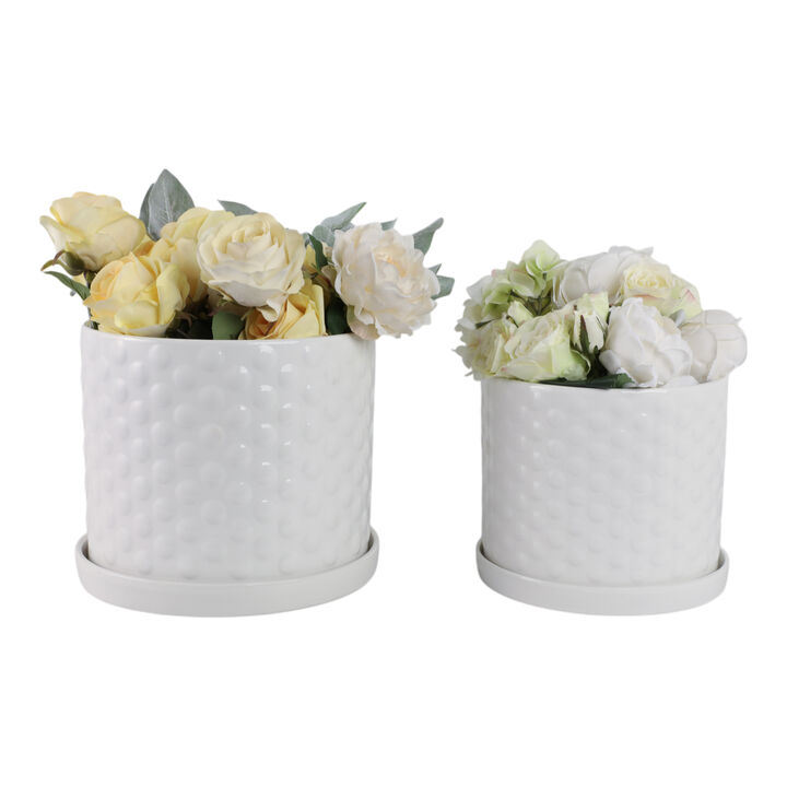 Bubble Planter Set