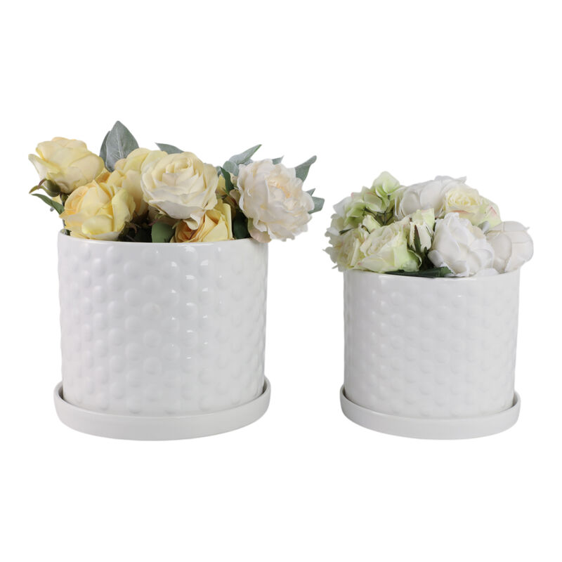 Bubble Planter Set