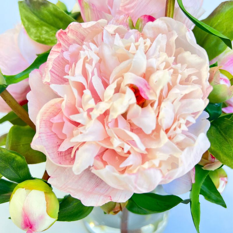 Peony arrangement in vase