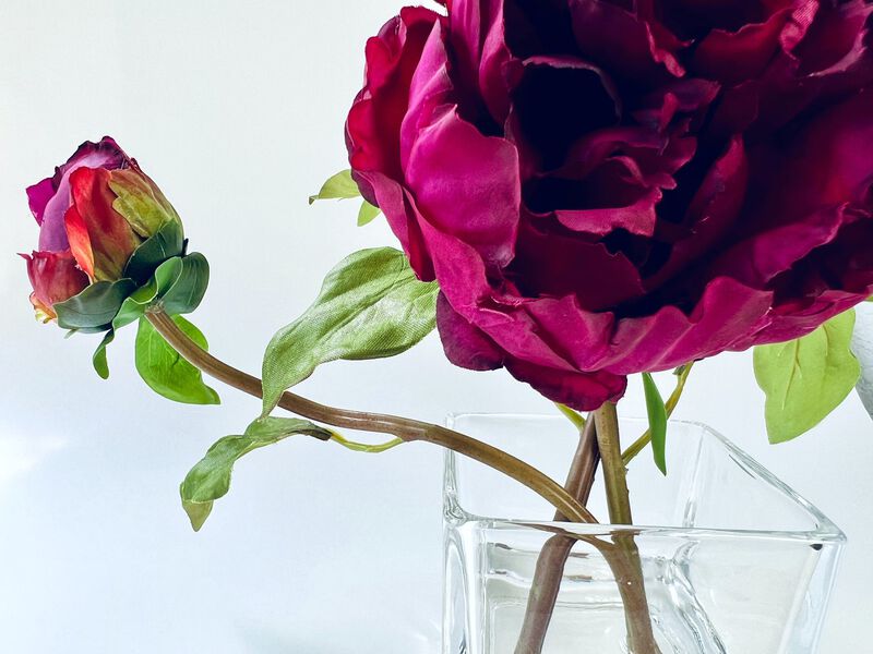 Peony Flower Arrangement in Glass Vase