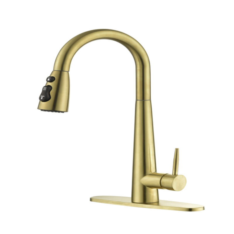 Kitchen Sink Faucet with Pull-Out Sprayer, Single Handle, Fingerprint-Resistant Finish