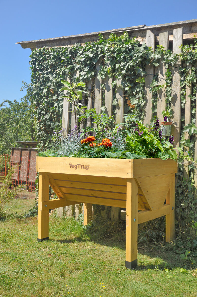 Small Classic Raised Planter VegTrug - Natural (FSC 100%)