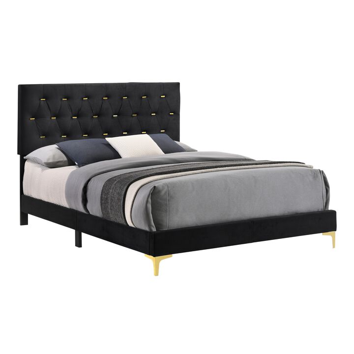 Lif Platform California King Size Bed, Tufted Headboard, Gold, Black Velvet-Benzara