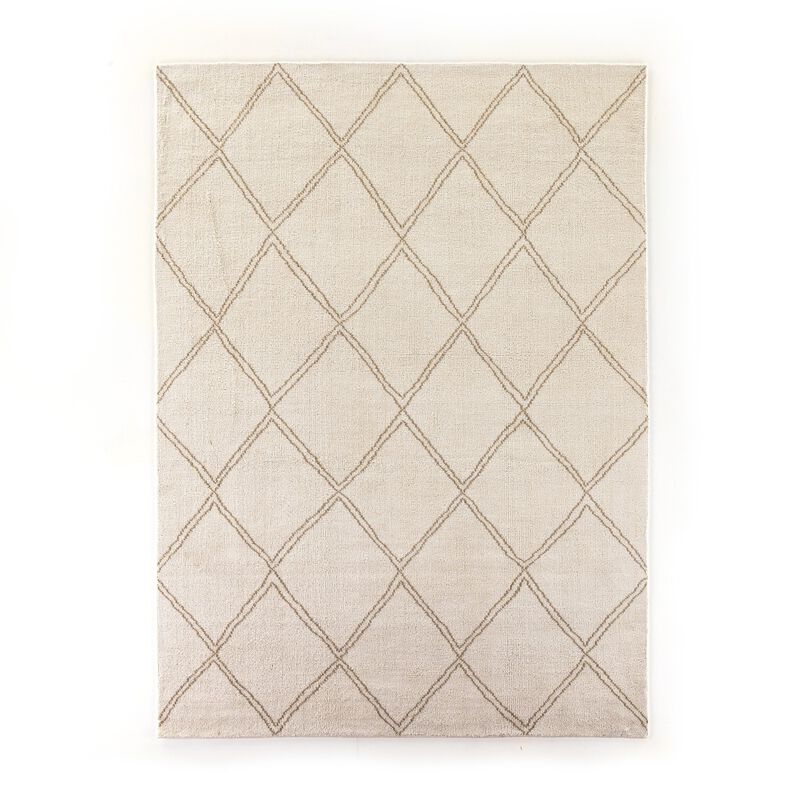 Palmeri 10' x 14' Outdoor Rug