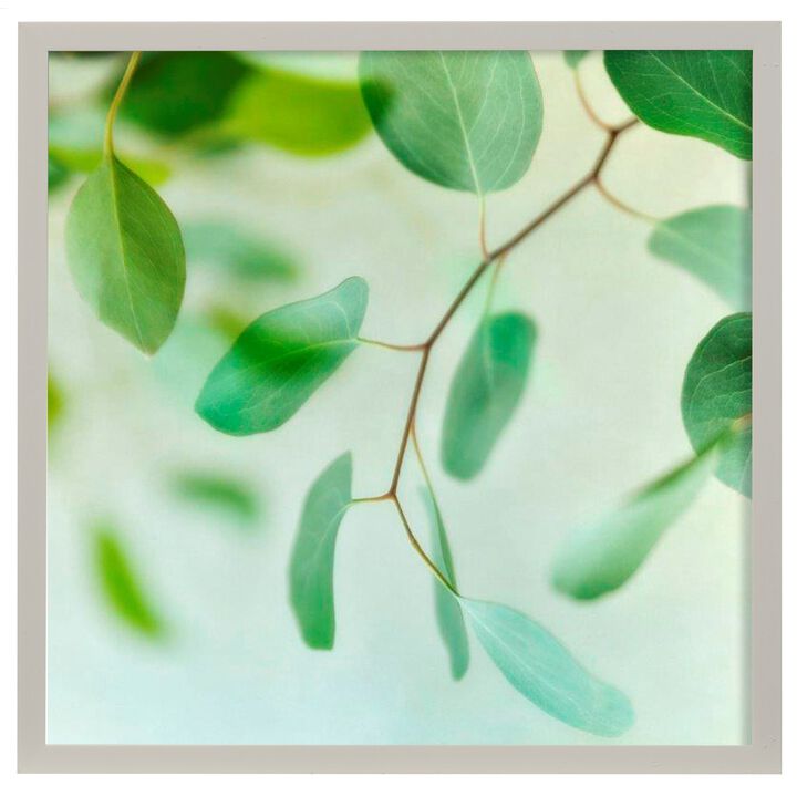 Summer Radiance I Framed Print