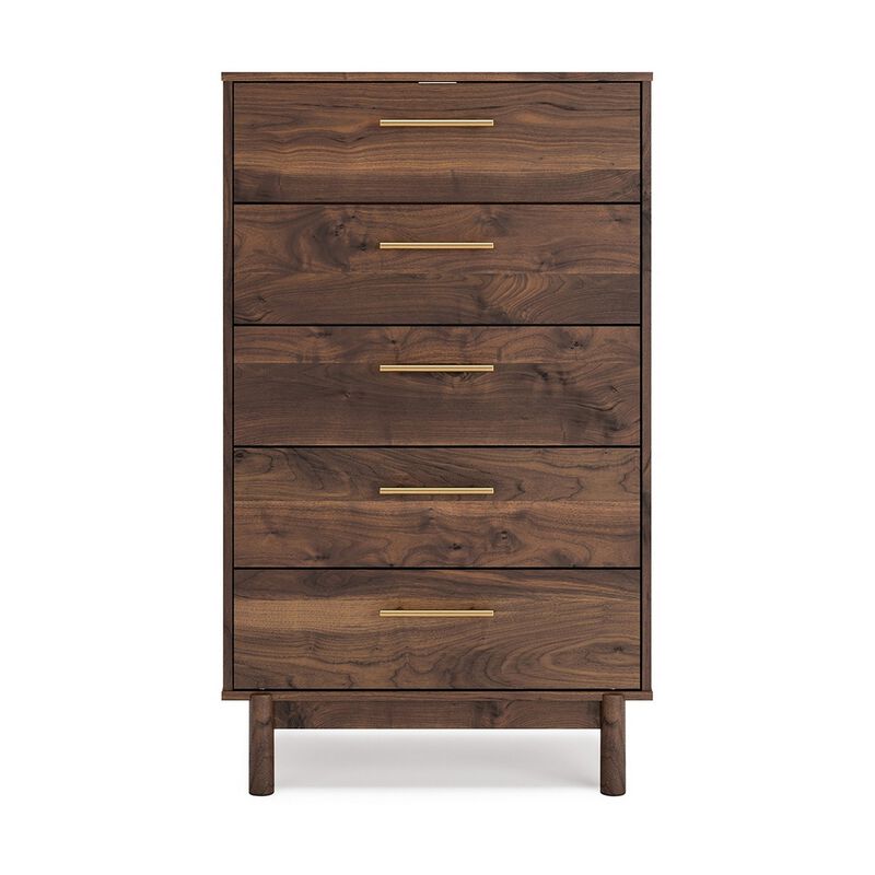 Kip 50 Inch 5 Drawer Modern Tall Dresser Chest, Dark Brown, Gold Handles-Benzara