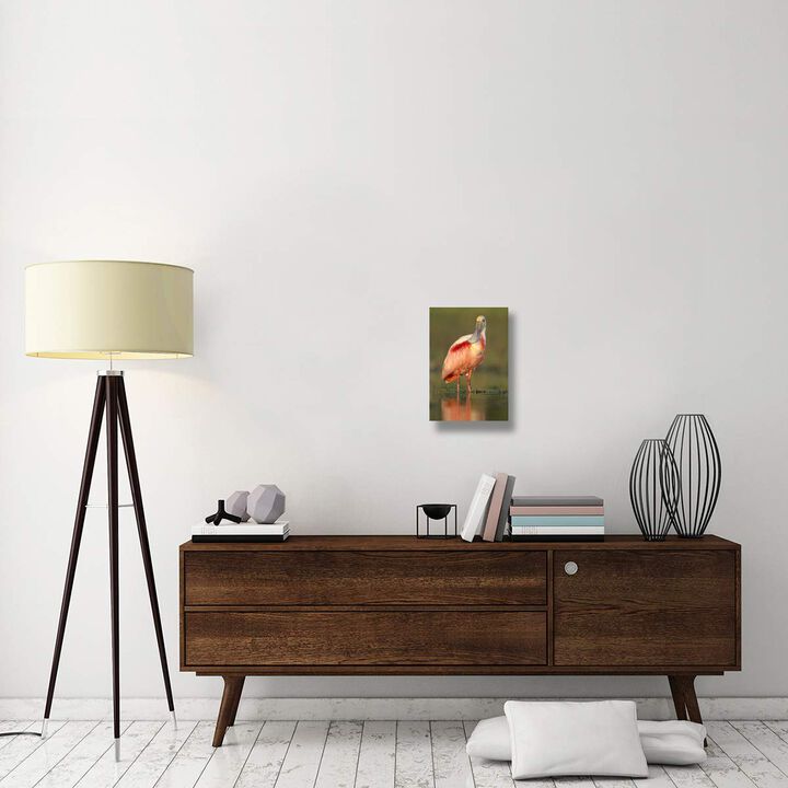 Roseate Spoonbill wading, North America-Canvas Art-12x18