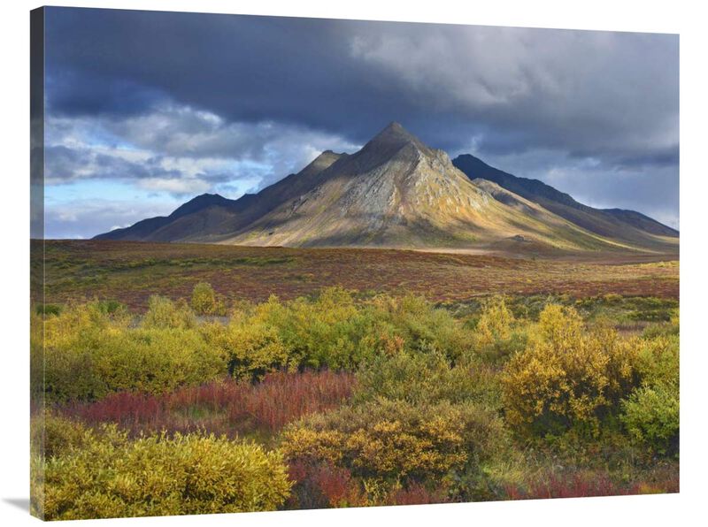 Ogilvie Mountains, Tombstone Territorial Park, Yukon, Canada-Canvas Art-40x30