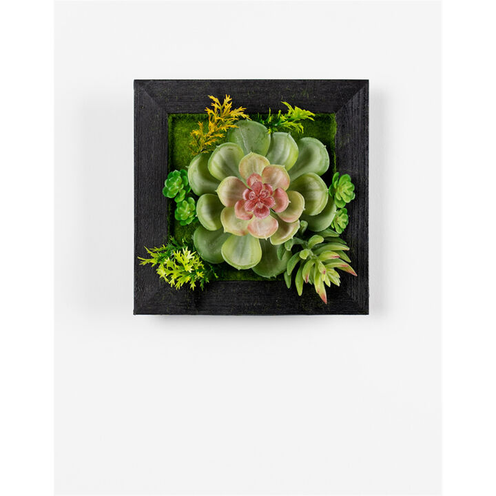 Hanging Succulent Box Wall Décor Set of 6 for Indoor and Outdoor Spaces