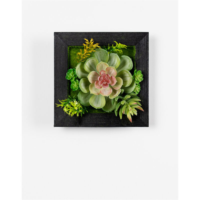 Hanging Succulent Box Wall Décor Set of 6 for Indoor and Outdoor Spaces