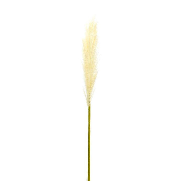 Set of 4 Cream Pampas Grass Stems for Boho Chic Décor and Floral Arrangements