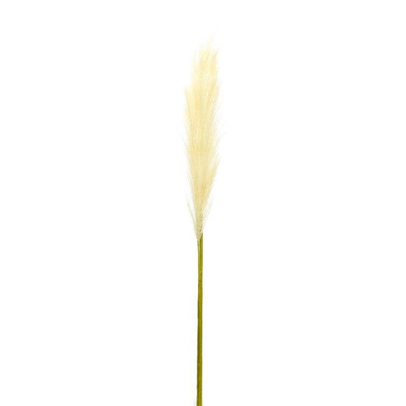 Set of 4 Cream Pampas Grass Stems for Boho Chic Décor and Floral Arrangements