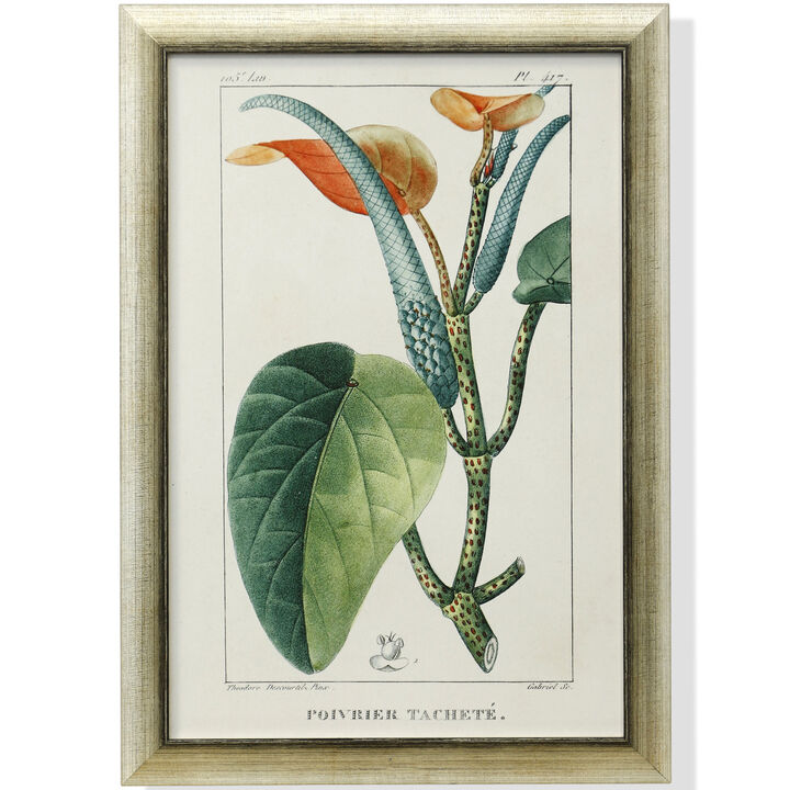 Framed Print Under Glass