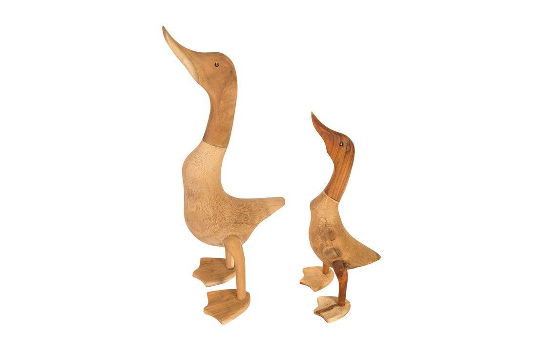 Wood Duck Set of 2