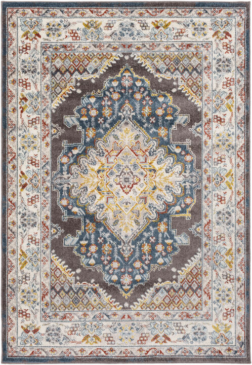 Ankara AKR-2300 7'10' x 10'3' Brown Rug