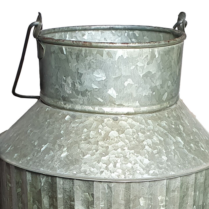 Decorative Flowers and Plants Metal Can with Handle, Gray-Benzara