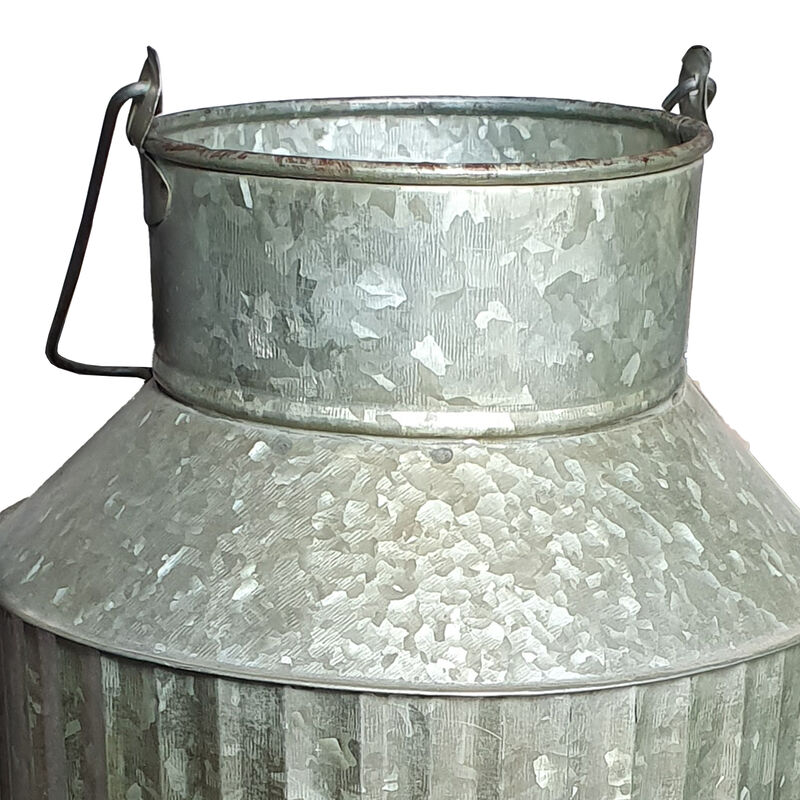 Decorative Flowers and Plants Metal Can with Handle, Gray-Benzara