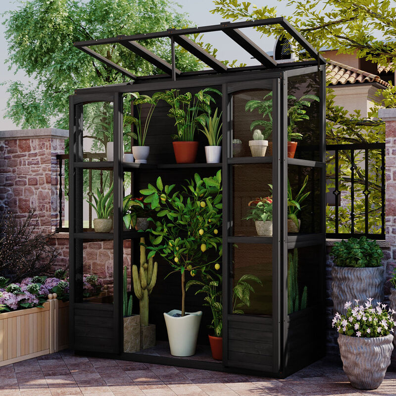 78" Wooden Cold Frame with Skylights, Shelves & Outdoor Walk-inhouse