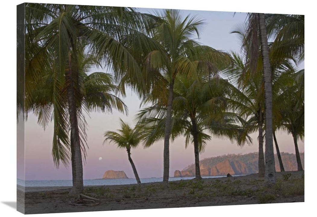 Moon setting, Playa Carillo, Guanacaste, Costa Rica-Canvas Art-32x24