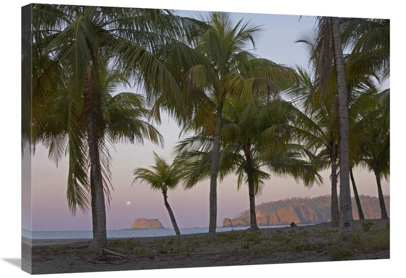 Moon setting, Playa Carillo, Guanacaste, Costa Rica-Canvas Art-32x24