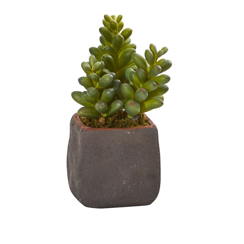 Hivvago Mixed Succulent Trio Artificial Plant (Set of 3)