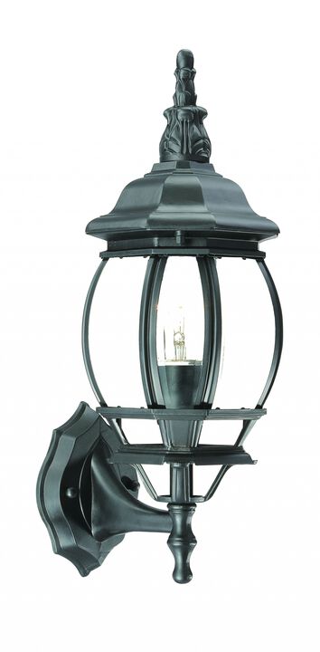 Hivvago Matte Black Ornamental Glass Globe Wall Light