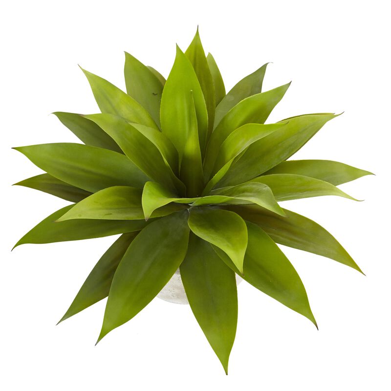 Hivvago Agave in Sand Colored Bowl
