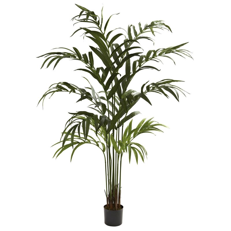 Nearly Natural 6-ft Kentia Palm Tree x 12 w/180 Lvs