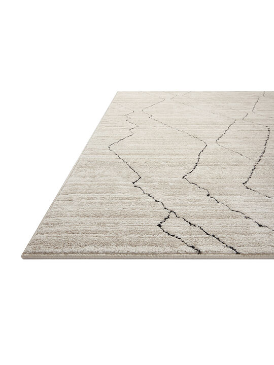 Darby DAR03 2'7" x 4'" Rug