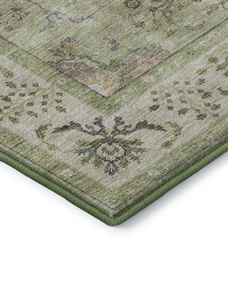 Hatay HY9 Aloe 3' x 5' Rug