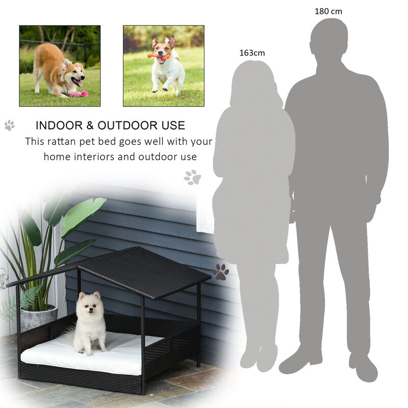 Cream Pet Paradise: Wicker Elevated Dog Bed with Rattan Canopy